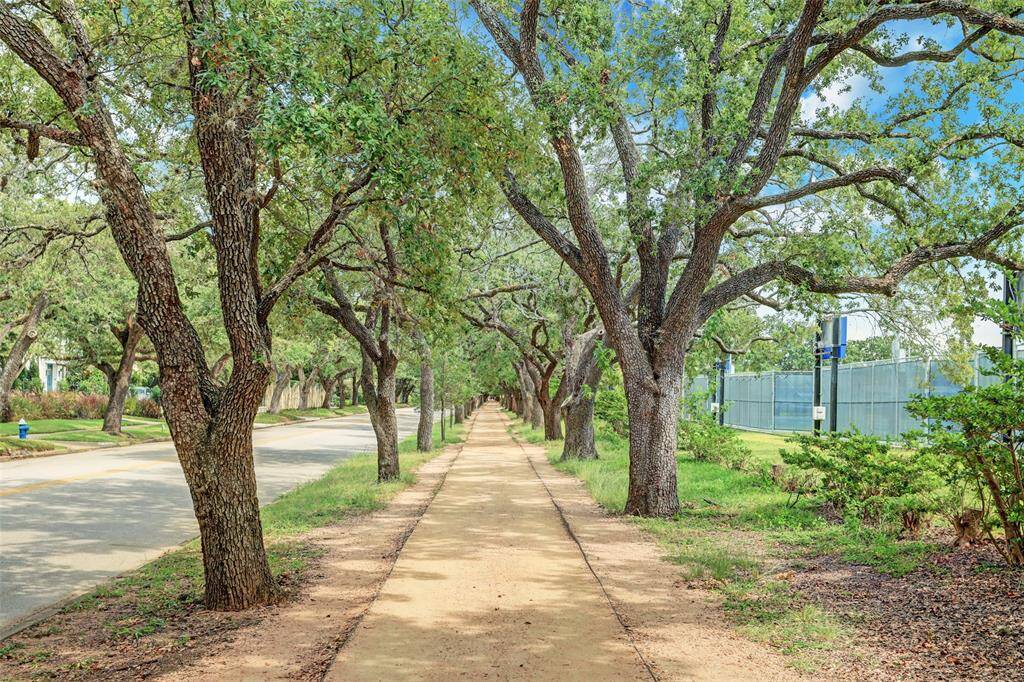 RICE UNIVERSITY.   Is also close by.  Many locals use the gravel walk and jogging trail that wraps around the perimeter of the campus and is shaded year round by gorgeous, mature live oaks.