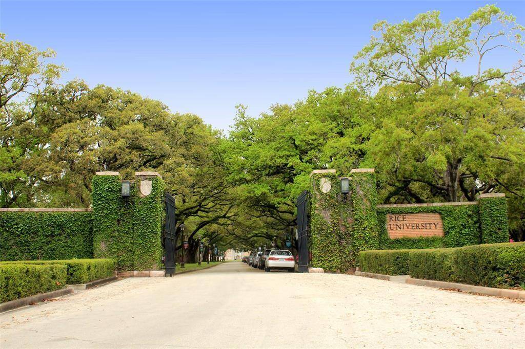RICE UNIVERSITY