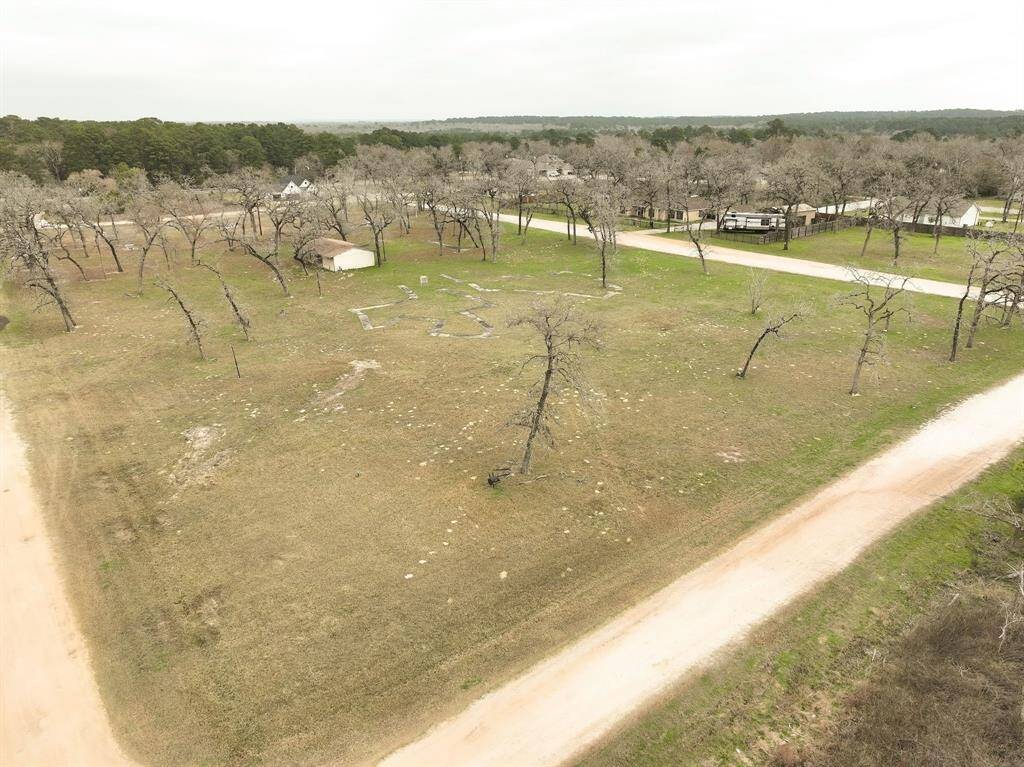 Scattered trees will bloom again soon and surround a small pavilion.