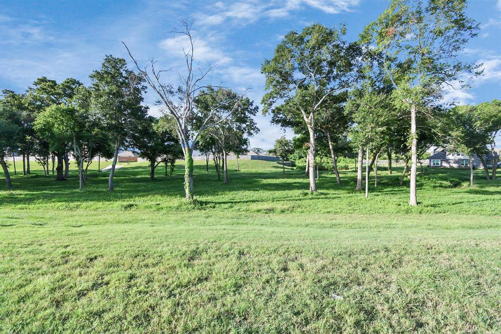 There is a great view behind the home of a large green space since it does not have back neighbors.