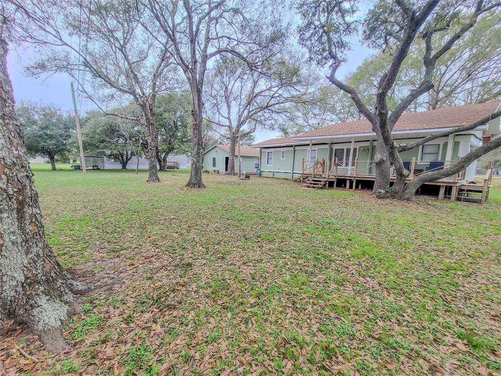 Back yard