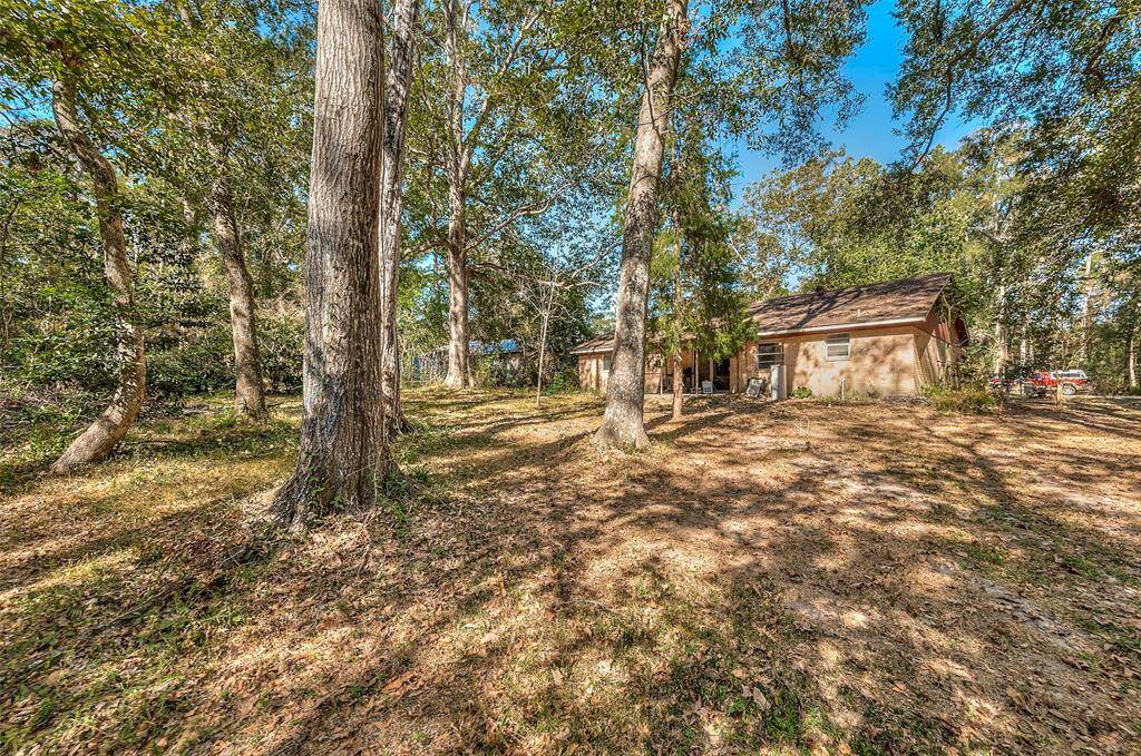 Large back yard