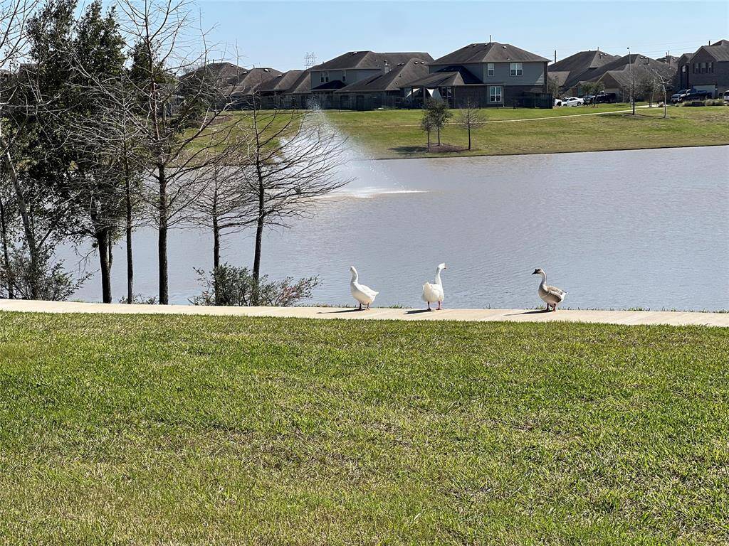 Experience the best of waterfront living with some of the best views of nature.