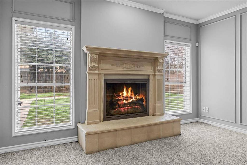 Living Room Fireplace