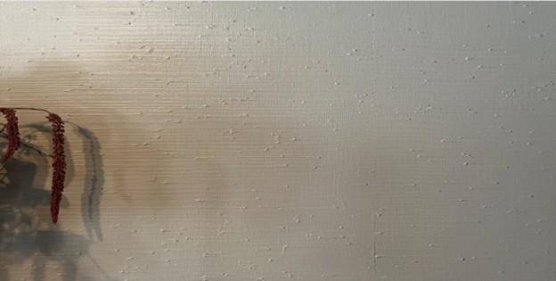 Close-up of Textured and Custom Painted Walls