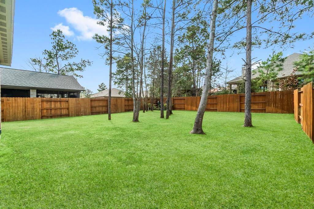 Big Beautiful Backyard