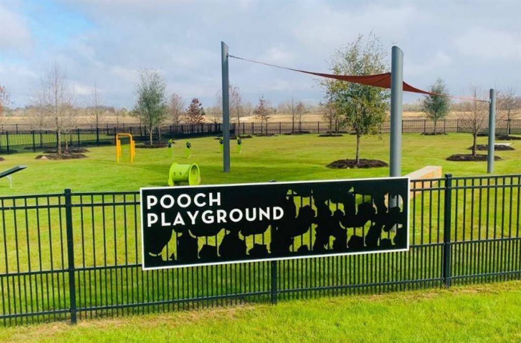 Dog park