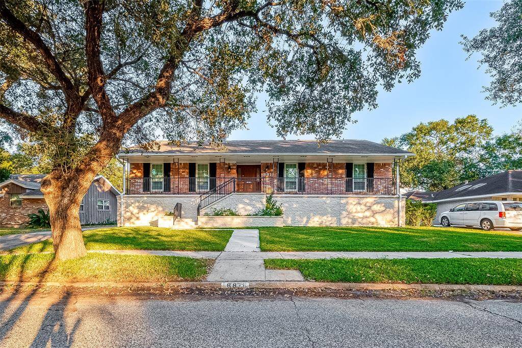 There is a beautiful live oak tree in the front yard.