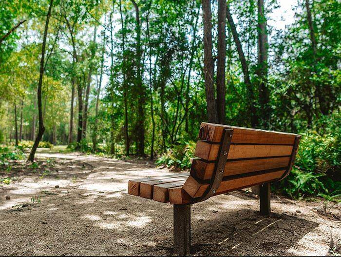 Residents also enjoy lounging on hammocks and exploring our labyrinth, trails and stepping stones around Madera Creek.