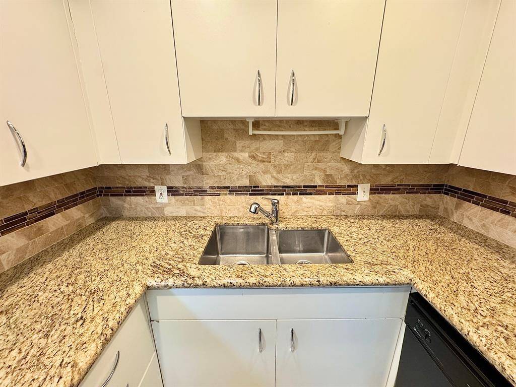 Rich granite counters with stainless steel double compartment sink and faucet with sprayer
