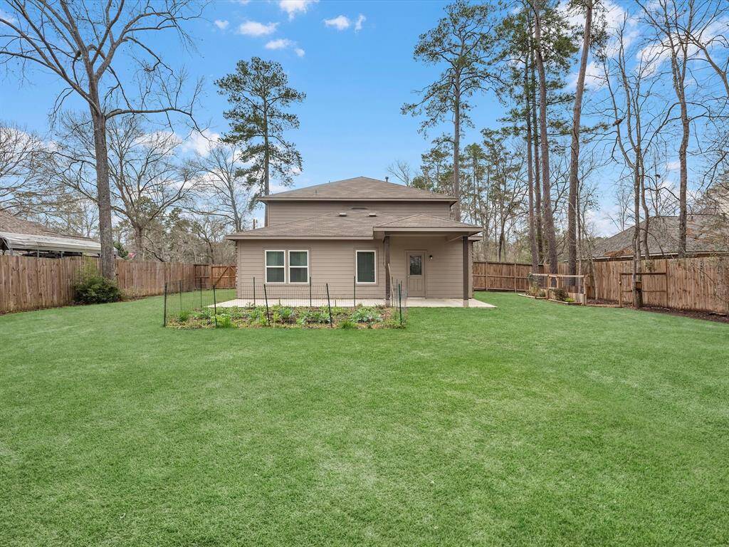 Back Yard