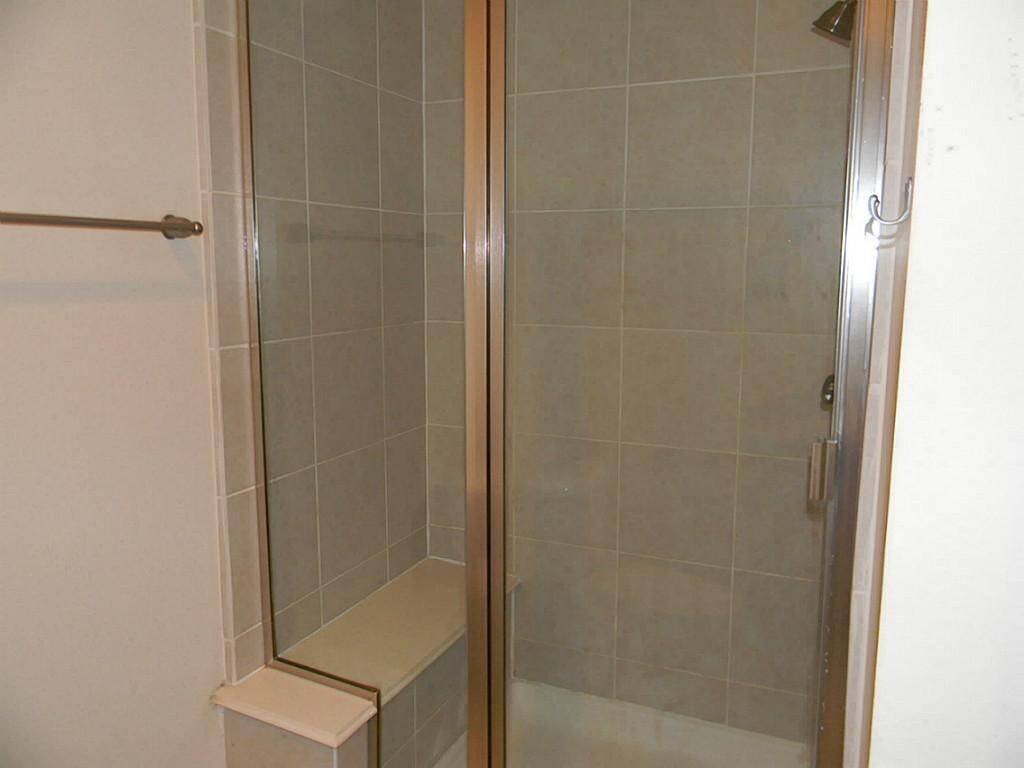 Master shower.