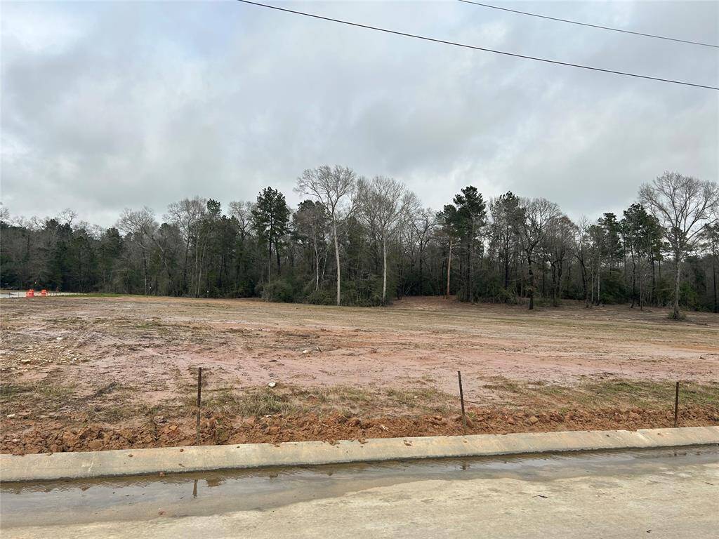 One story home with 4 bedrooms, 3 baths, and 3 car garage.