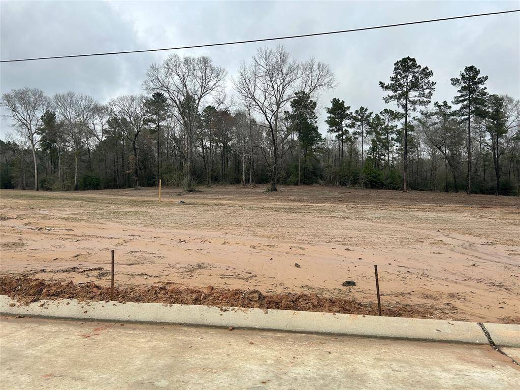 One story home with 4 bedrooms, 3.5 baths, and 4 car garage.