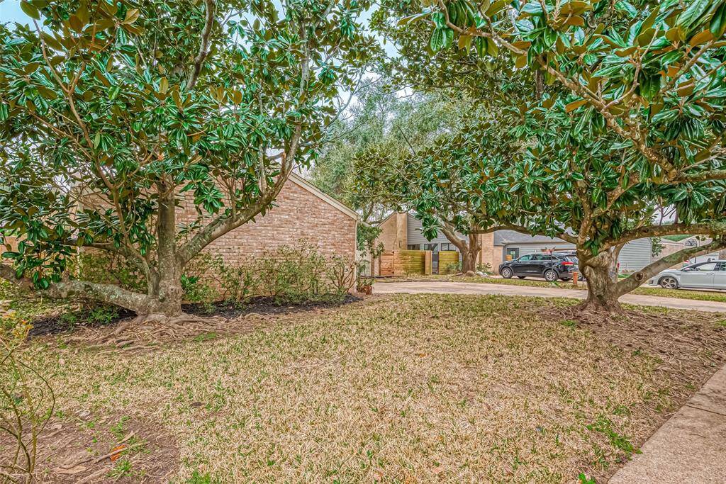 Front yard