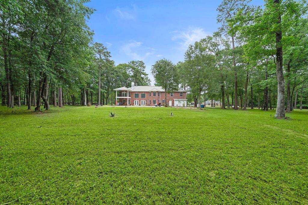 Expansive backyard with lush greenery and surrounding trees.