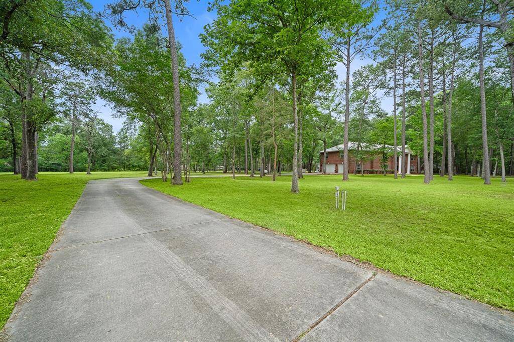 Long driveway leading through a wooded area to the home