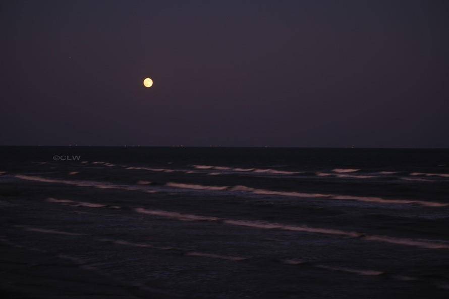 At the end of the day, pull up a chair and enjoy the late show.  Galveston is more than just a beach!