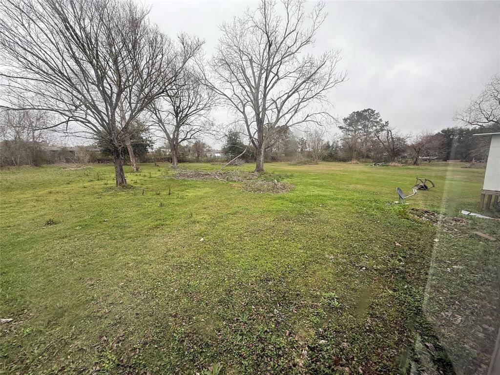 Back yard