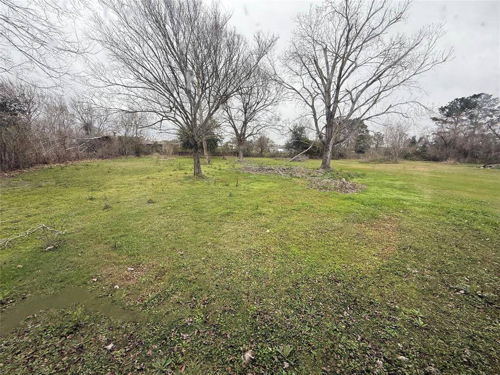 Back yard