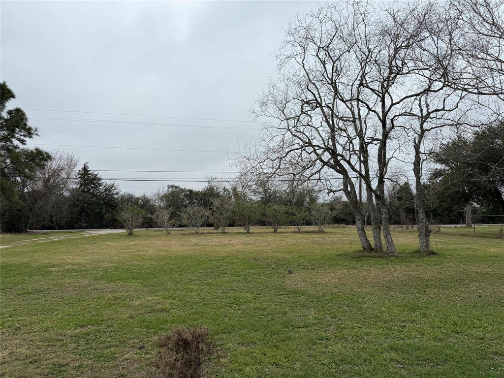 Front yard