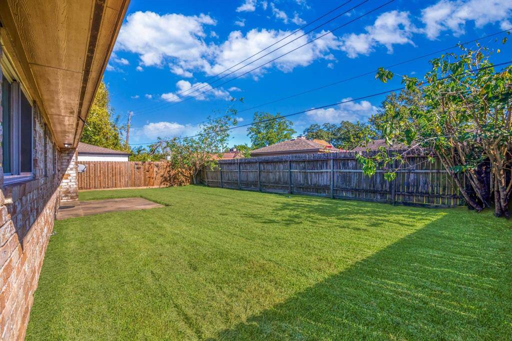 Newer Fence