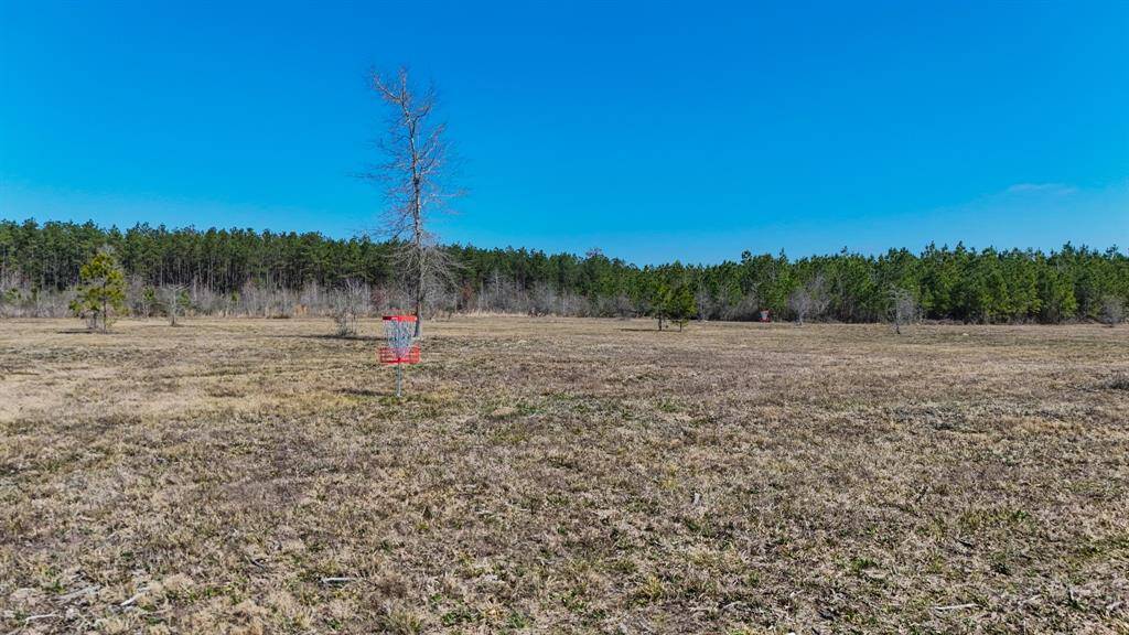 Experience a fun and friendly afternoon of neighborhood frisbee golf at the park