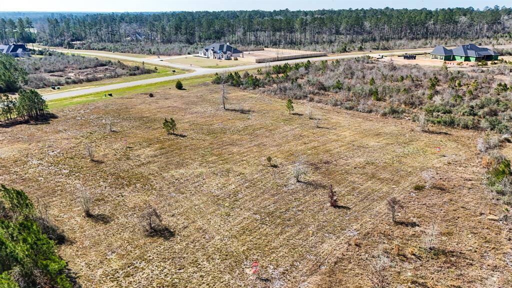 Located just a couple of lots down the street, is the frisbee golf park
