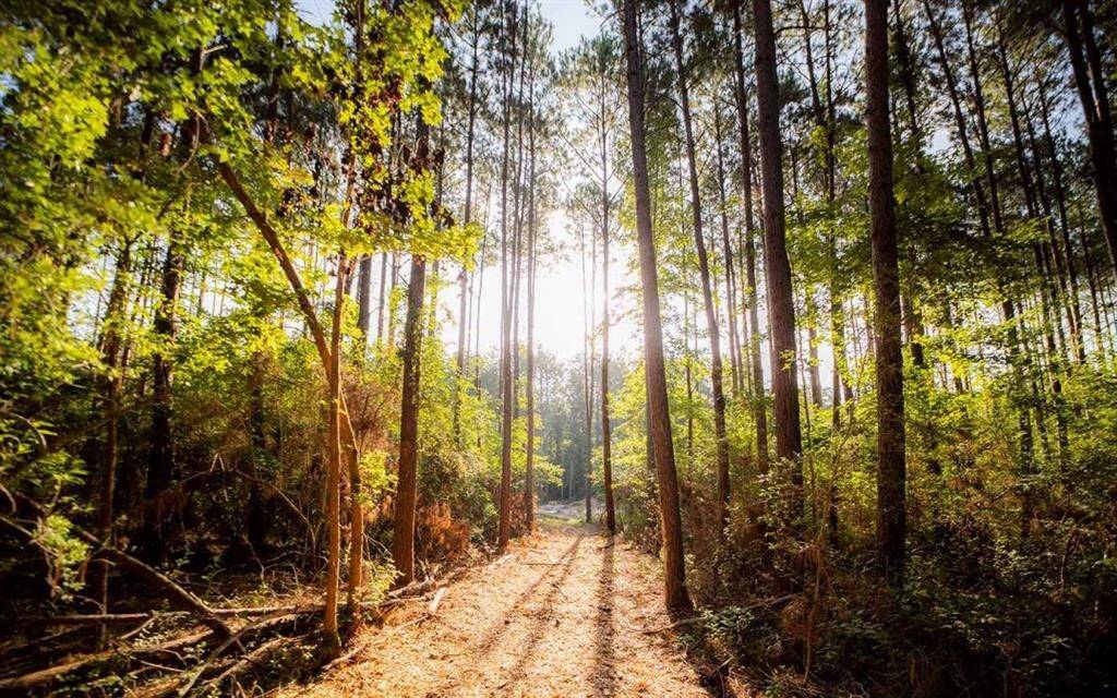 Republic Grand Ranch offers breathtaking scenery with its lush landscapes