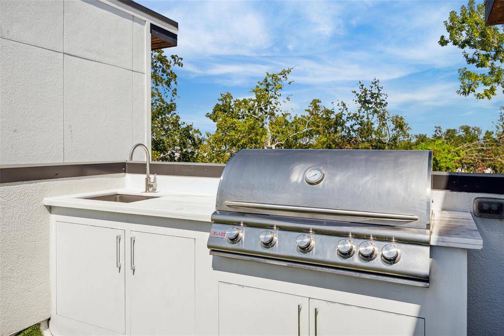 OUTDOOR GRILLE AND SINK