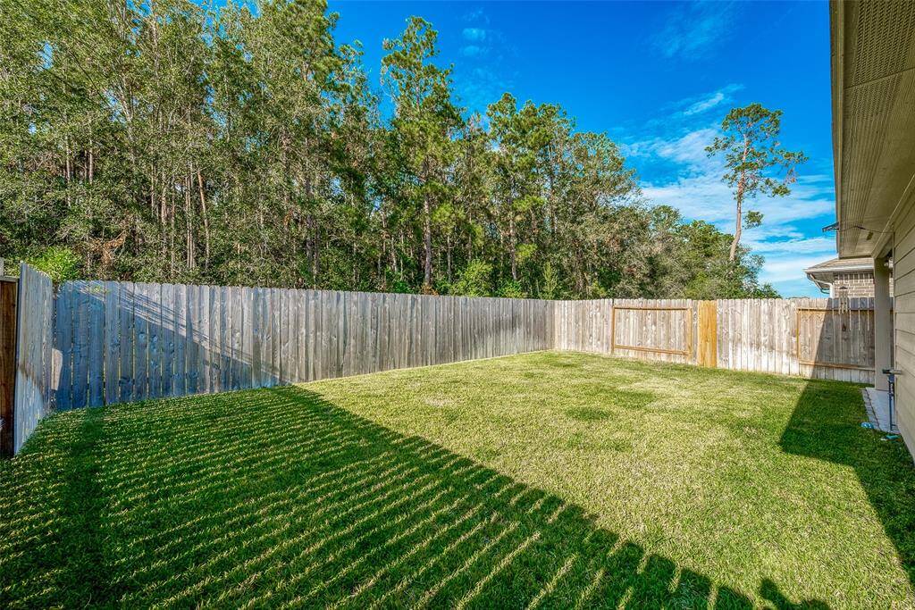 Spacious backyard