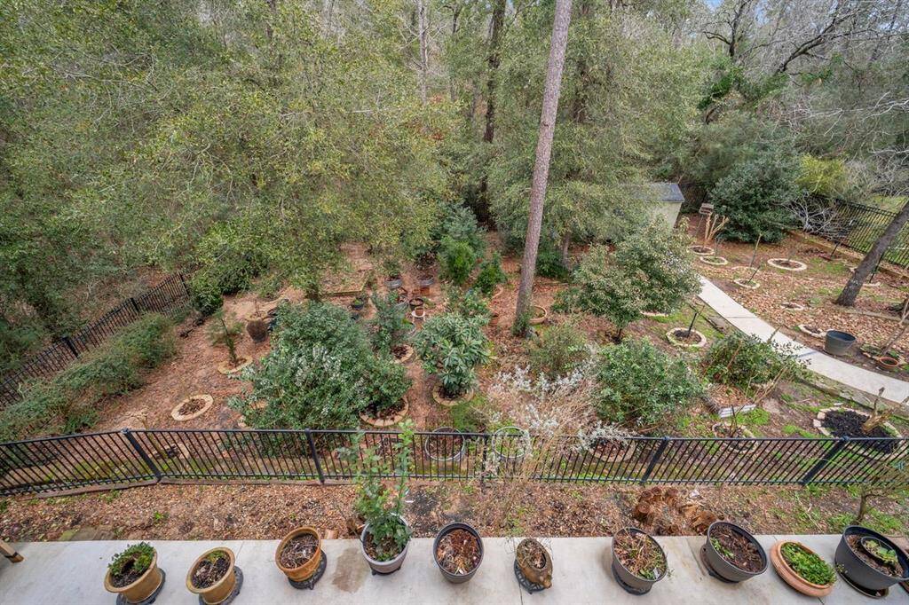 Year round flowers and fragrances from this lush backyard