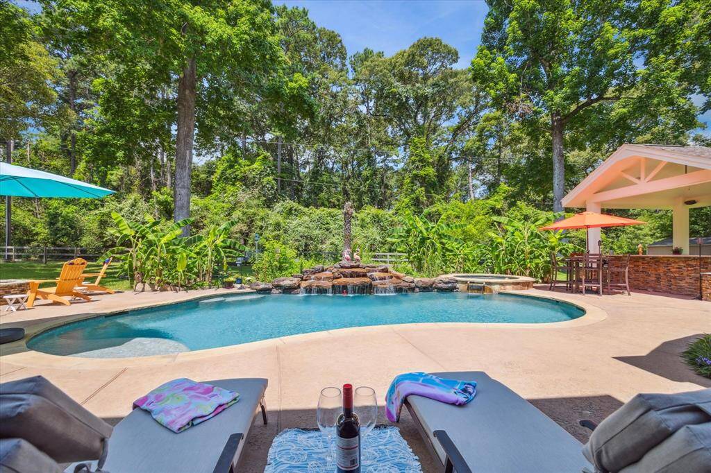 A serene backyard - come and enjoy the summer fun!
