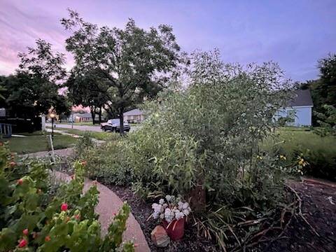 Additional view of the garden which blooms in warmer months.