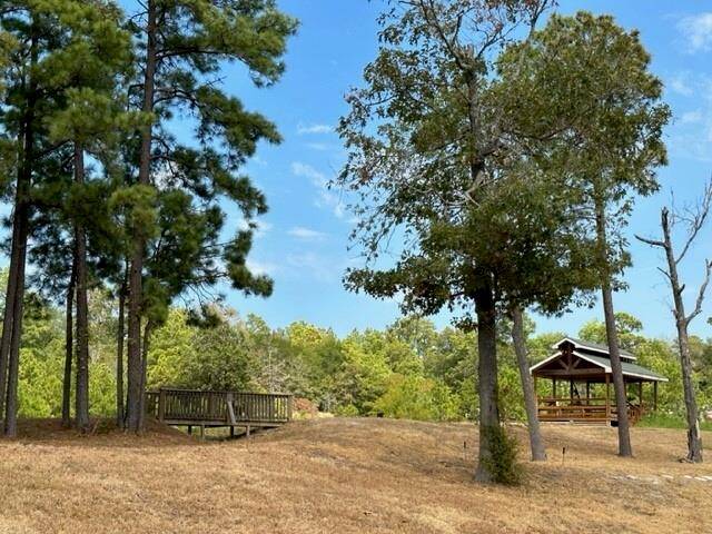 Community picnic area
