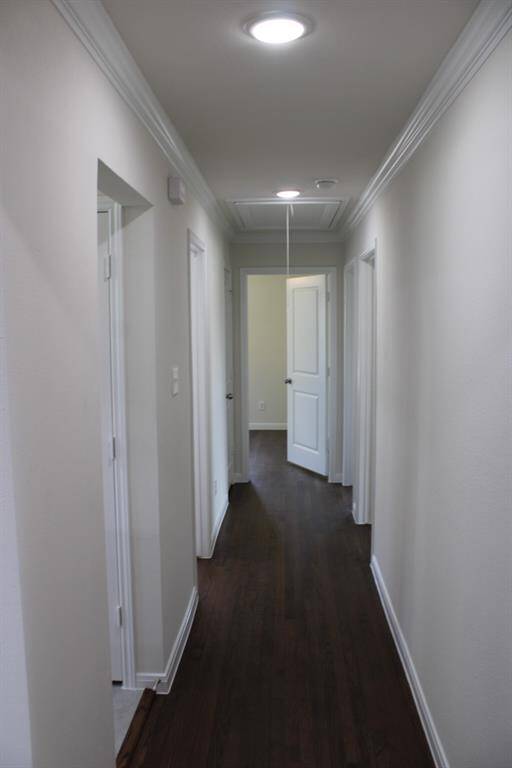 Hallway to Bedrooms