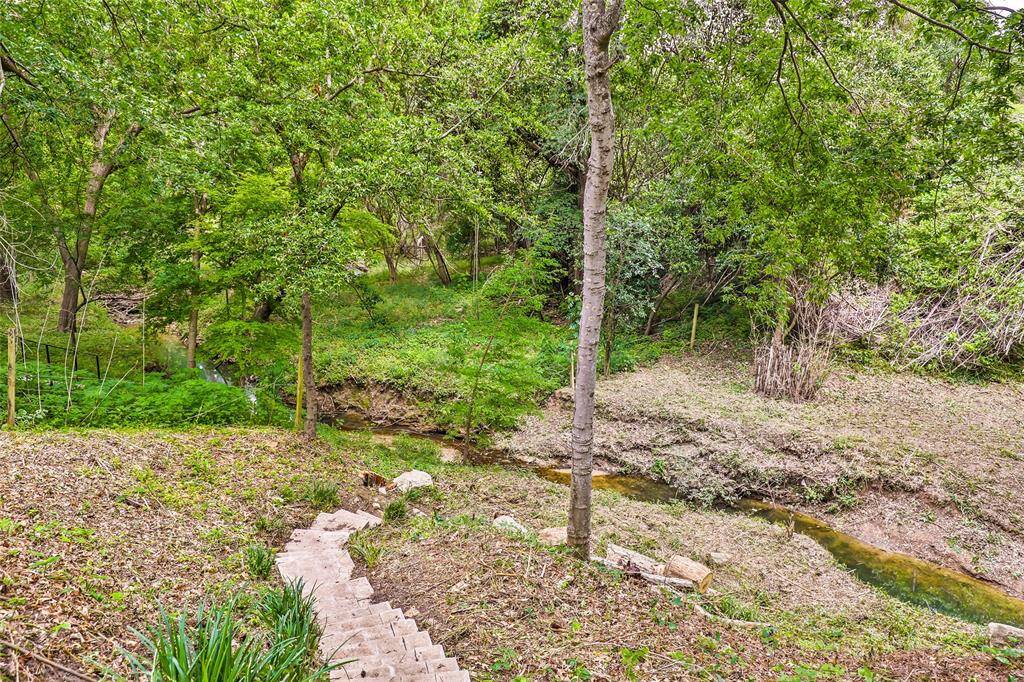 This creek runs across the back yard.