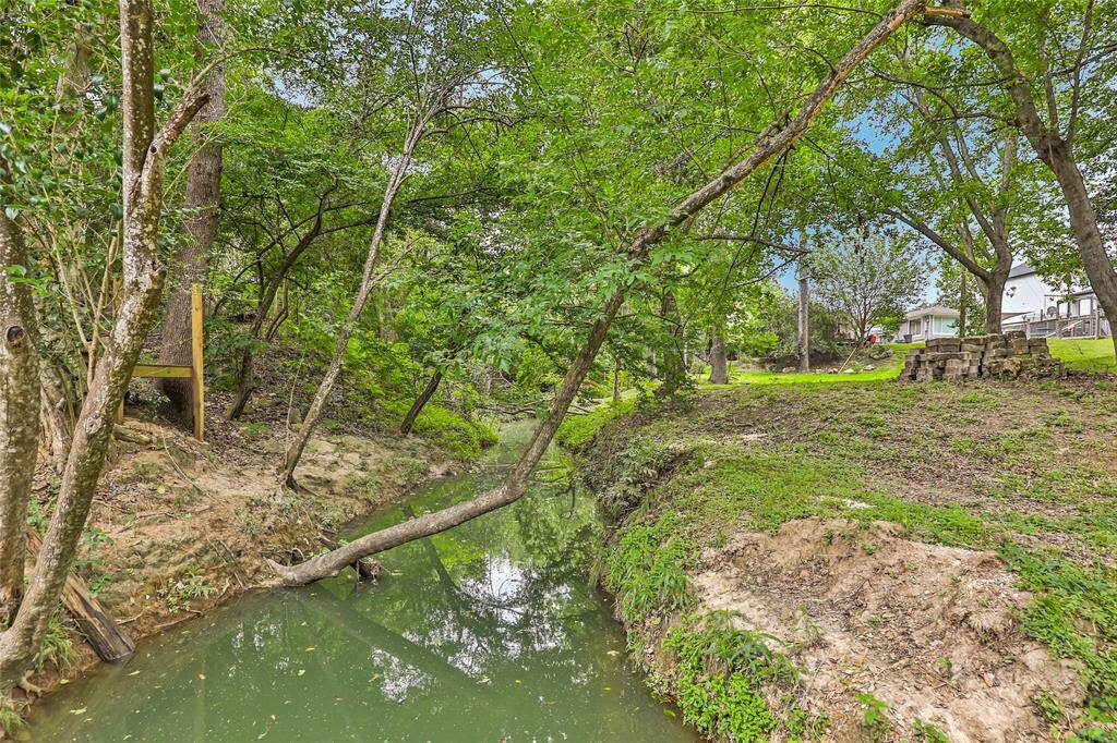 More views of the creek