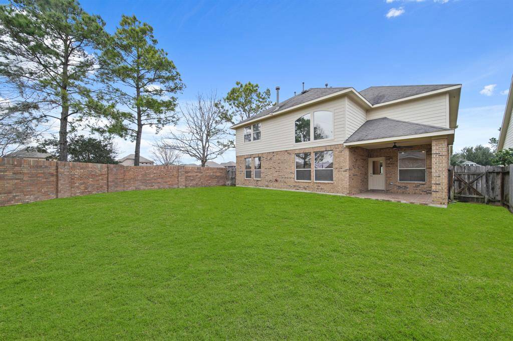 Spacious Backyard!