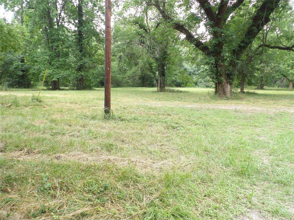 VIew of the 3.5 Acre Tract