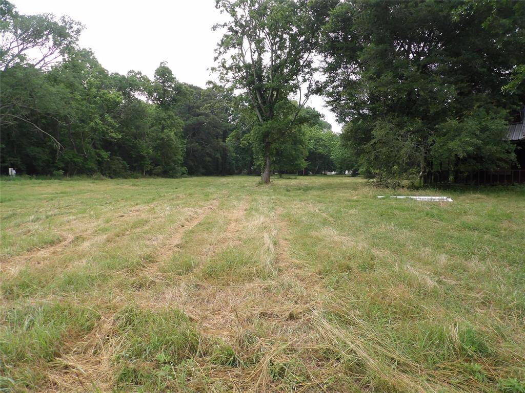 View of 3.5 acre tract