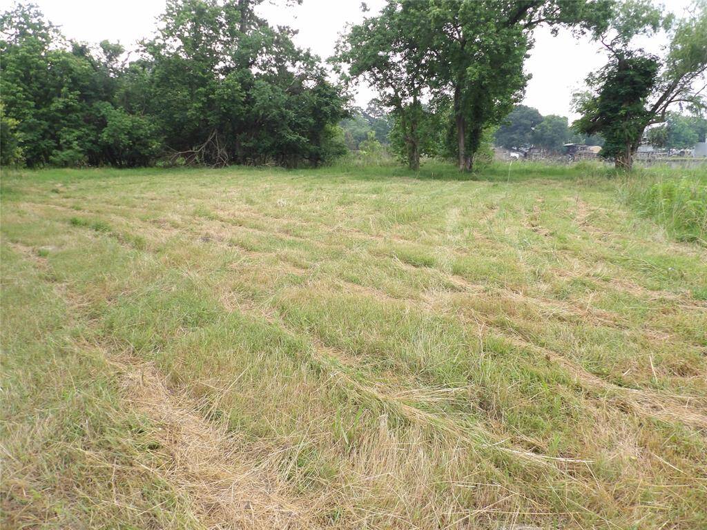 View of 3.5 acre tract