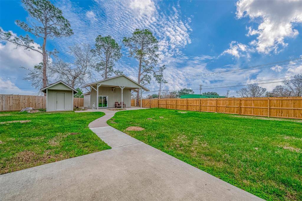 Back yard