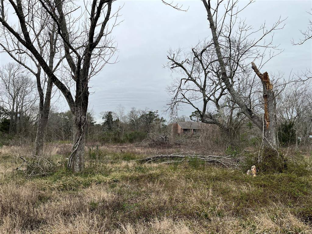 I can imagine you might want to situate a new house in this area.