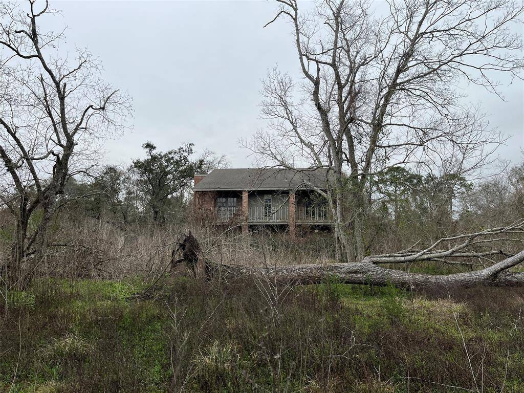 There are a few large fallen trees that will need to be removed, but you will have some excellent wood for the firepit and projects.