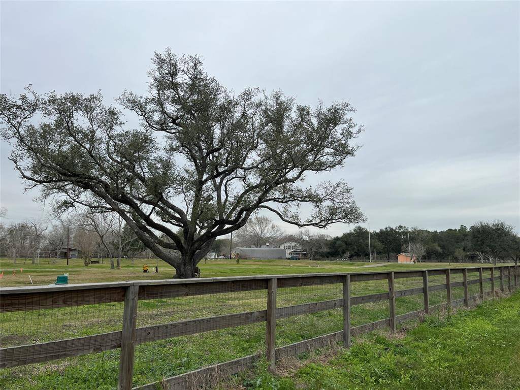 This gorgeous tree is right beside your driveway on the neighbor's property so you can enjoy its' beauty as you come and go. You can see people take care of their property.