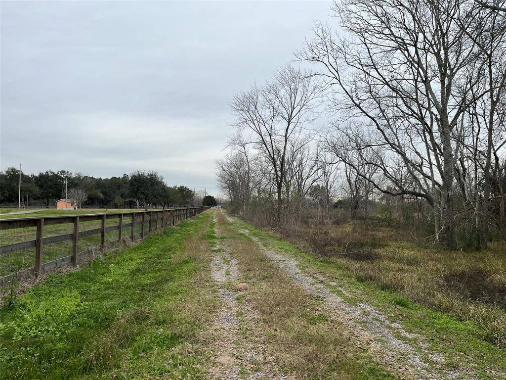 We are near the end of the driveway, looking back toward the street.