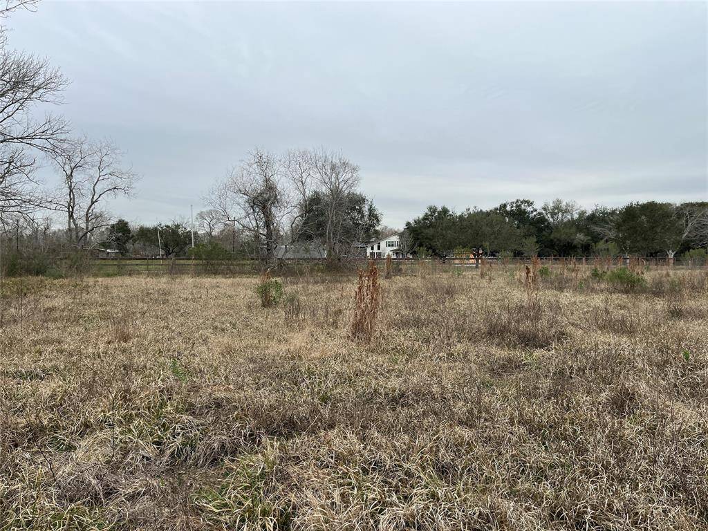 This is the view of the home next door, looking across the pasture.
