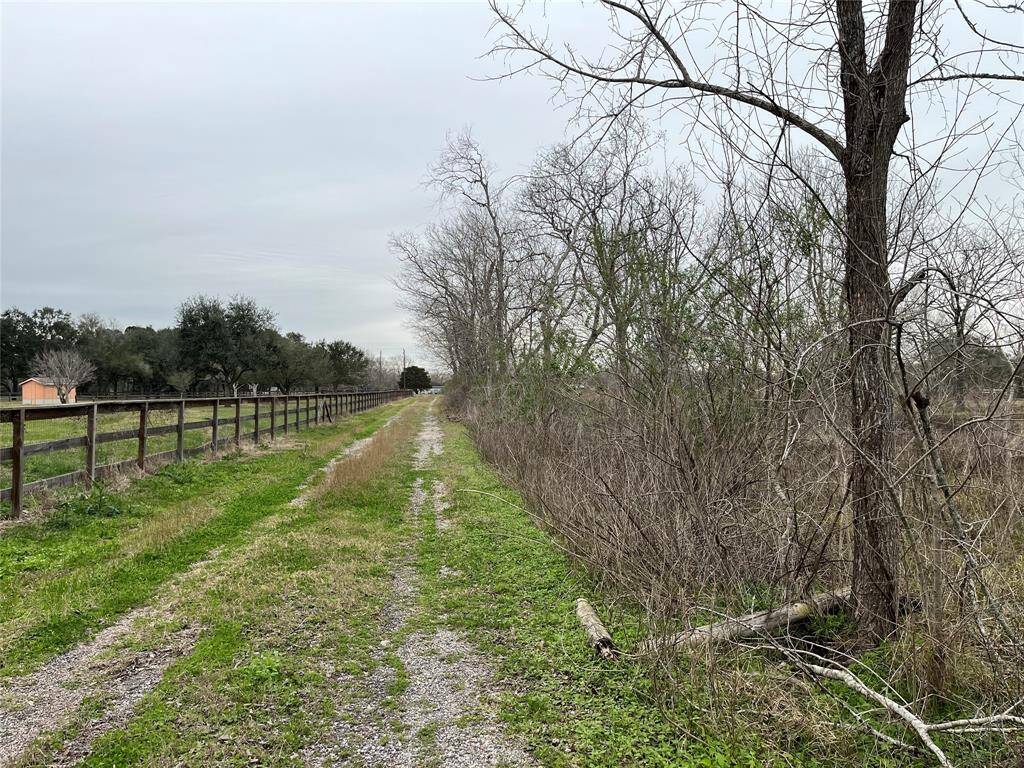 The nice wooden fence on the neighbor's side runs parallel to your driveway. It's built up and there's a decent road base. There was once a barbed wire fence on the right side. Part of it remains. We are leaving the back of the property, looking toward Burnett now.