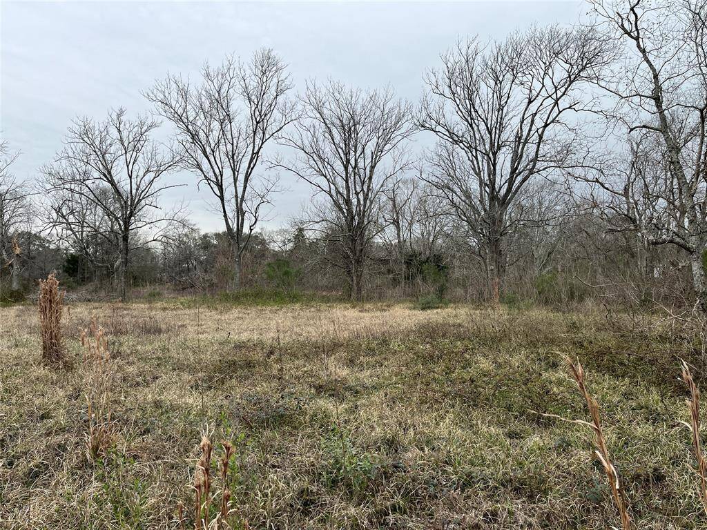 The old homesite sits back near the rear of the property and is built in the Chocolate Bayou floodway. You can enjoy the beauty of the wooded areas, but build a new place on higher ground.